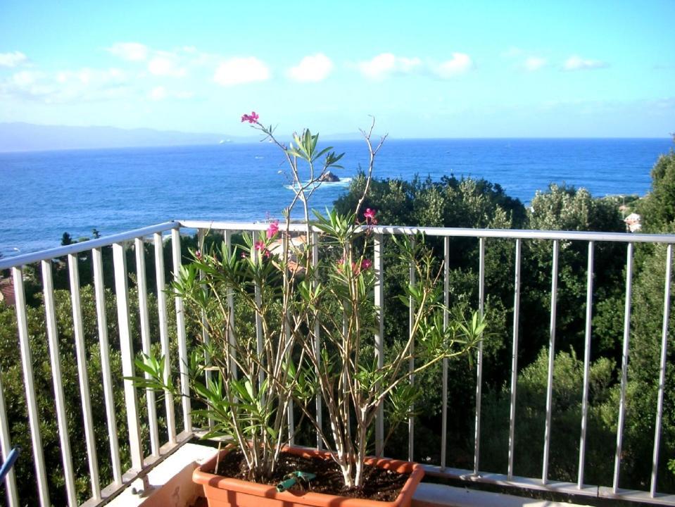 Appartement Climatisé Vue Mer Route des Sanguinaires Ajaccio  Exterior foto